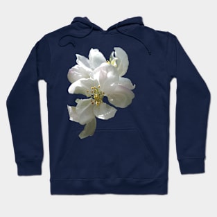 Apple Blossom Hoodie